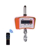 ANYLOAD OCSM1 Light Duty Crane Scale