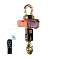 ANYLOAD OCSA4 General Purpose Crane Scale