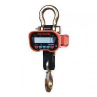 Crane Scales