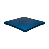 ANYLOAD FSP Series Mild Steel Floor Scales