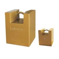 ANYLOAD TWCM1-MC 500kg Cast Iron Test Weights