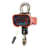 photo of anyload heavy duty crane scale with L E D screen