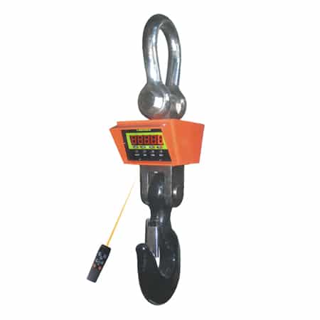 photo of an anyload ocsz crane scale