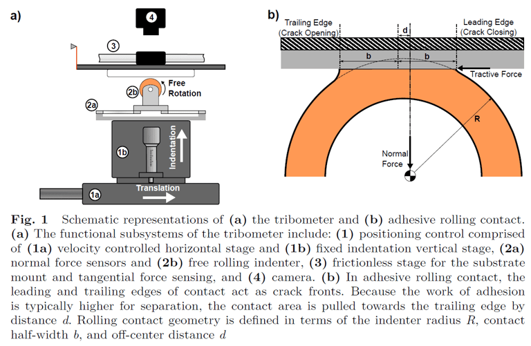 Rolling Indenter diagram for soft tribology research showing that the leading edge crack front where a cylindrical roller contacts a soft material is much closer to the center of the applied normal force than the trailing crack front