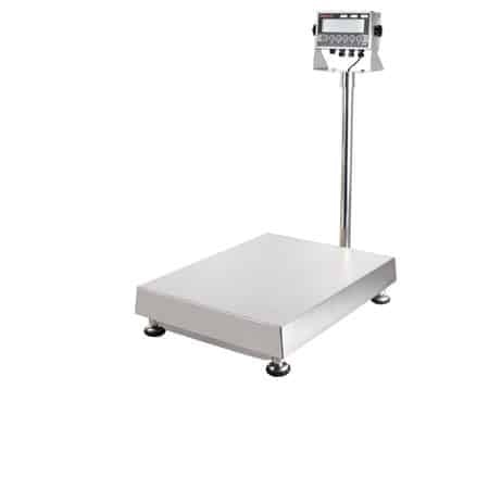 TNS-bench-scale