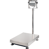 photo of anyload bench scale