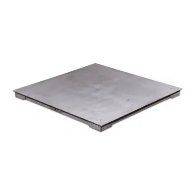 ANYLOAD FSP-SS Series Stainless Steel Floor Scale