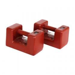 AnyLoad TWCM1 Individual Iron Cast Test Weights