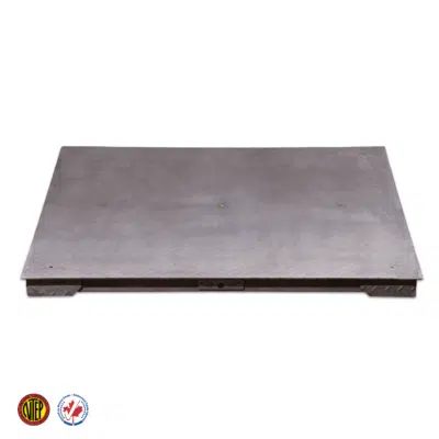 ANYLOAD FSP-SS Series Stainless Steel Floor Scale - Image 5