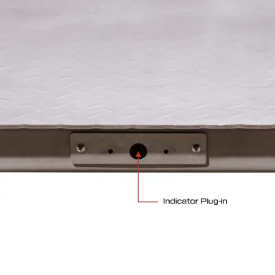 ANYLOAD FSP-SS Series Stainless Steel Floor Scale - Image 2