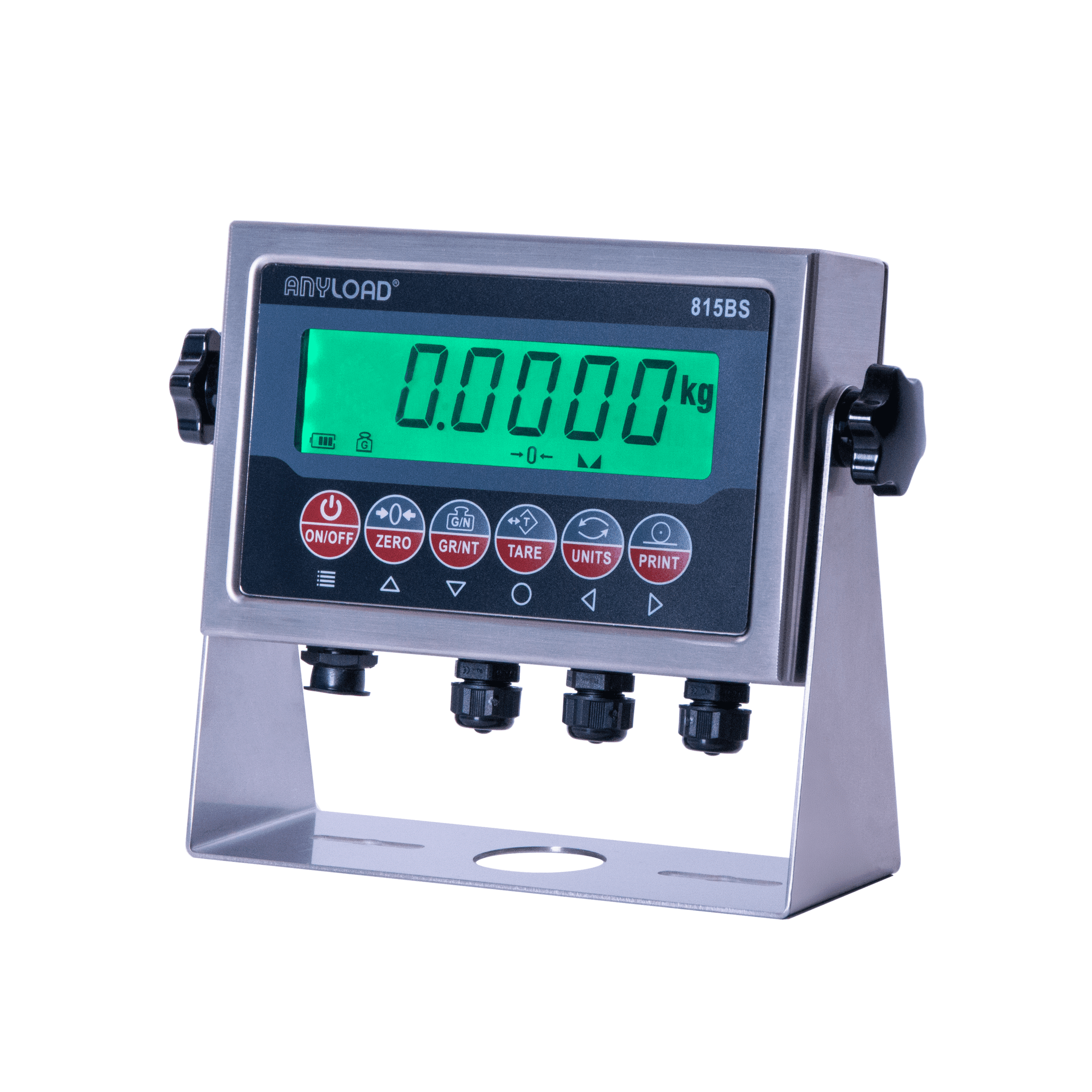 ANYLOAD 815BS Digital Weight Indicator