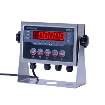 ANYLOAD 815TS Digital Weight Indicator