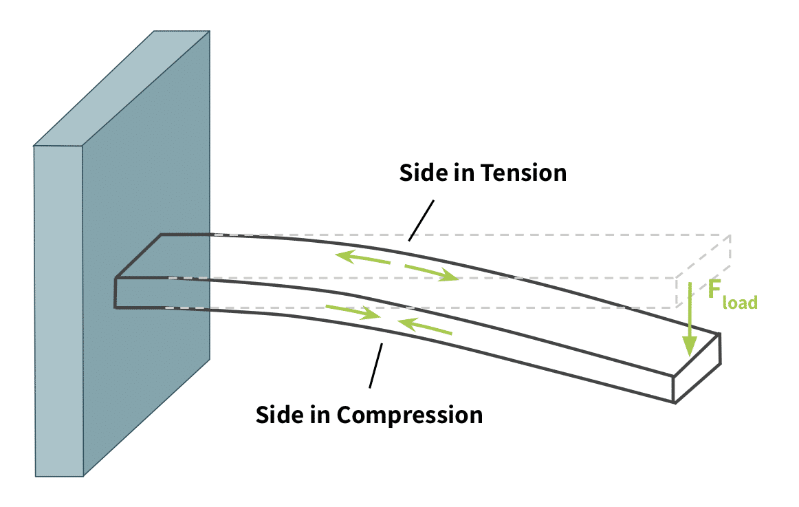 The tension and compression elements at the scale of the body. Both the