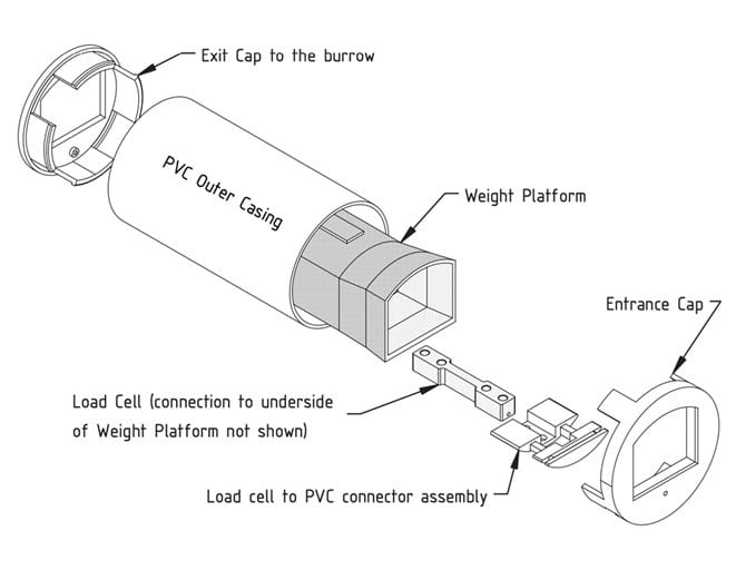 A black and white exploded view diagram illustrating the components of a burrow weighing device. Labeled parts include a cylindrical PVC Outer Casing, an Entrance Cap, an Exit Cap to the burrow, an internal Weight Platform, a Load Cell positioned beneath it, and a Load cell to PVC connector assembly. The parts are shown separated along the device's central axis to show their assembly. A note specifies that the load cell's connection to the underside of the weight platform is not shown.