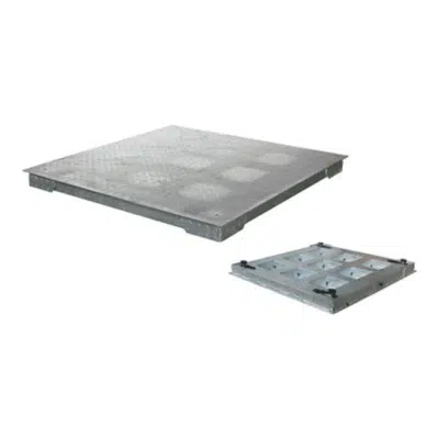 ANYLOAD FSP-GI Hot Dip Galvanized Mild Steel Floor Scale