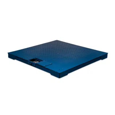 ANYLOAD FSP-TA Dual Access Mild Steel Floor Scale