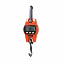 photo of anyload mini crane scale with L C D screen