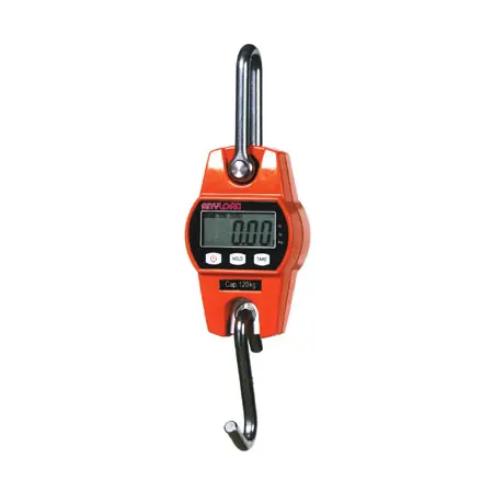 photo of anyload mini crane scale with L C D screen