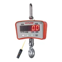 photo of anyload light duty crane scale with L C D screen