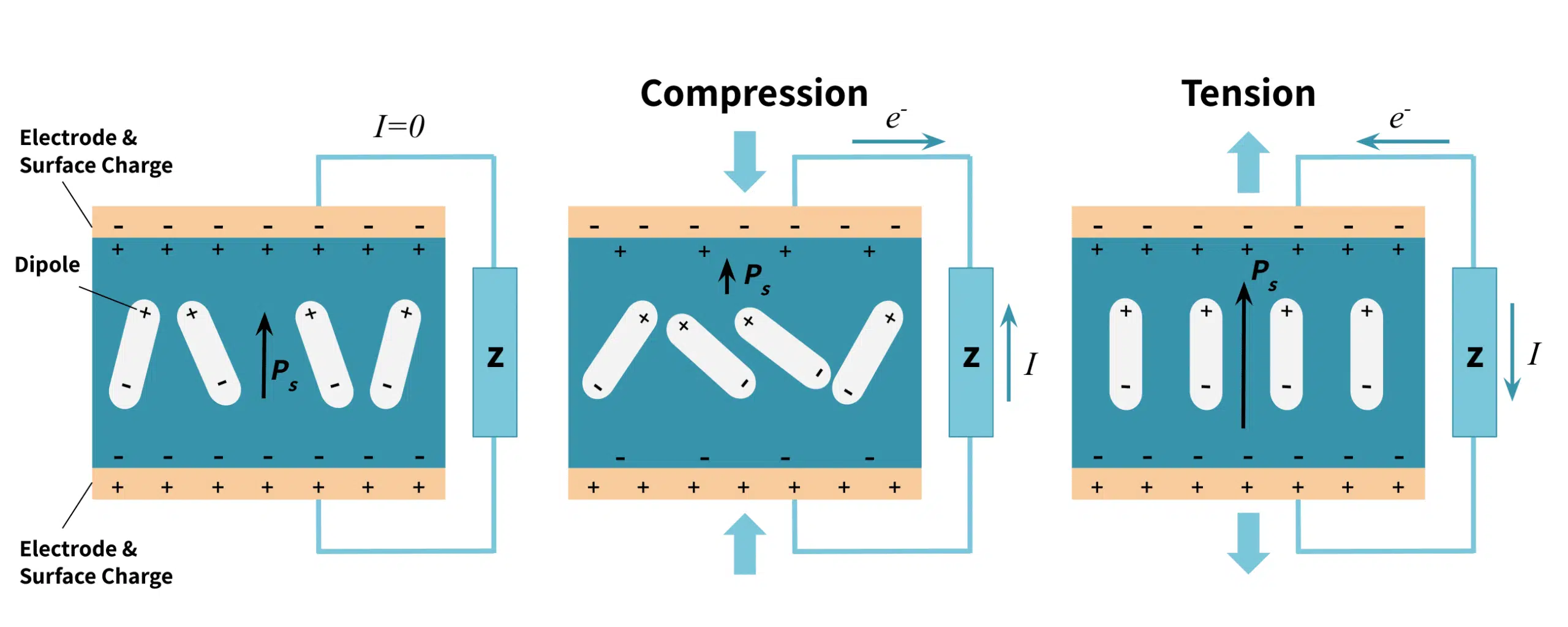 Piezoelectric effect within piezoelectric element in tension and compression